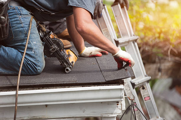 Roof Gutter Cleaning in Stevenson, AL