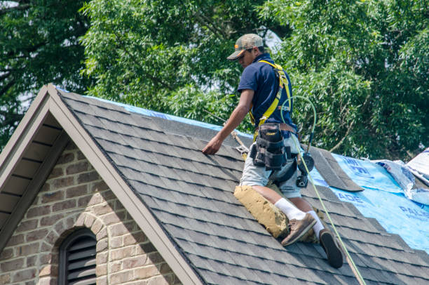 Best Metal Roofing Contractor  in Stevenson, AL
